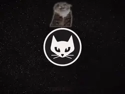 New template