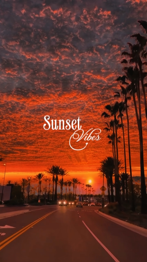 Sunset Vibes