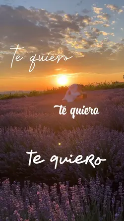 T QUIERO- HOMBRES G🩷