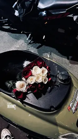 aesthetic