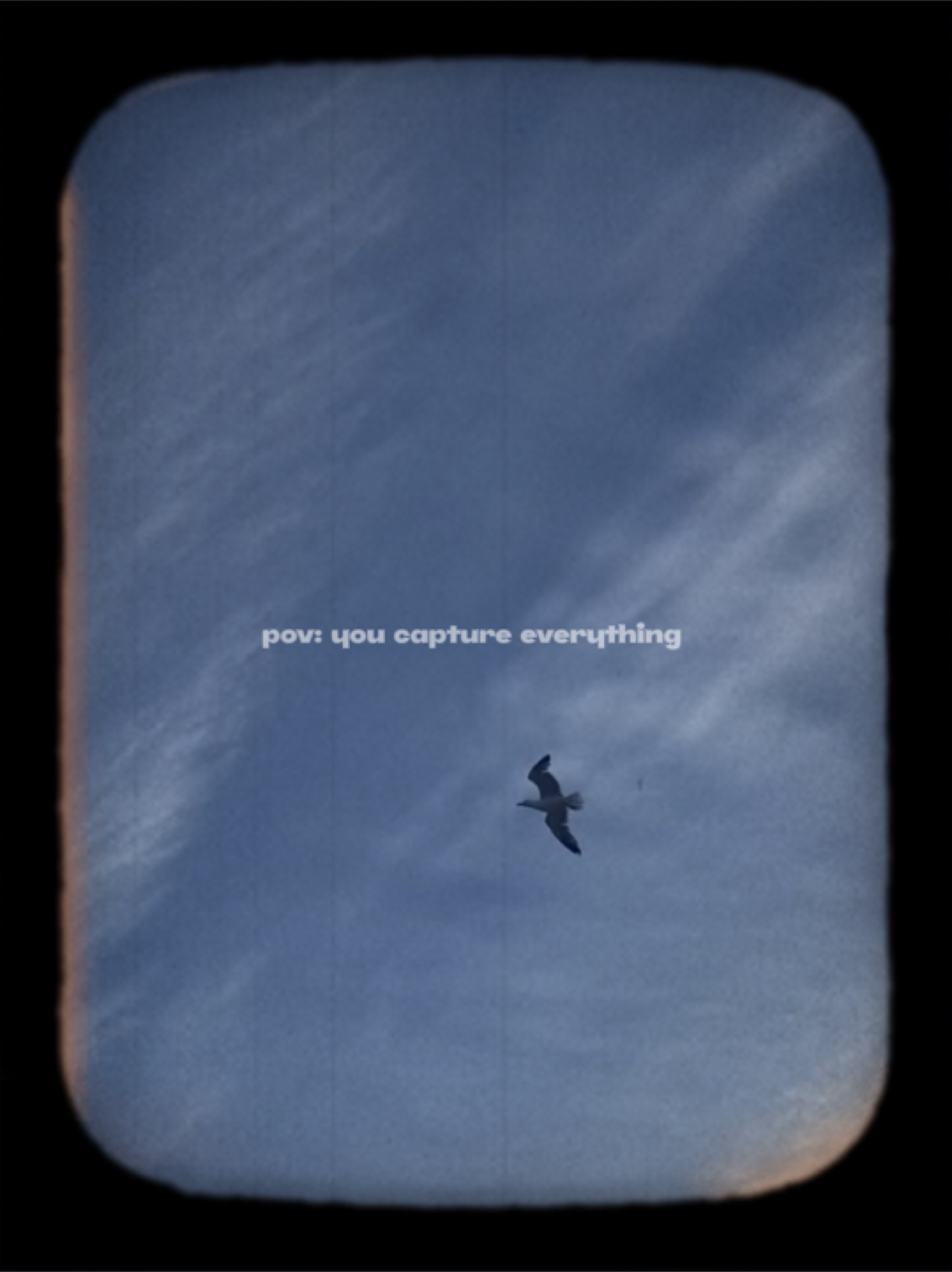 capture everything:)
