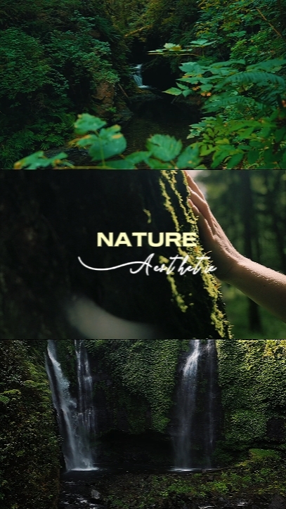 Nature Aesthetic