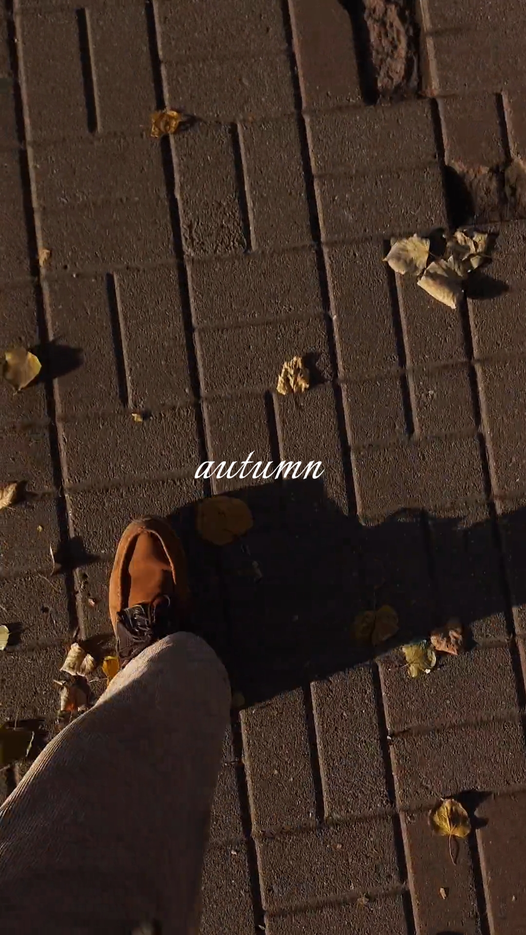 autumn