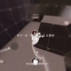 제가 네 라고 못할 시 소원권