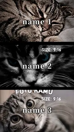 3人用てんぷれ !!