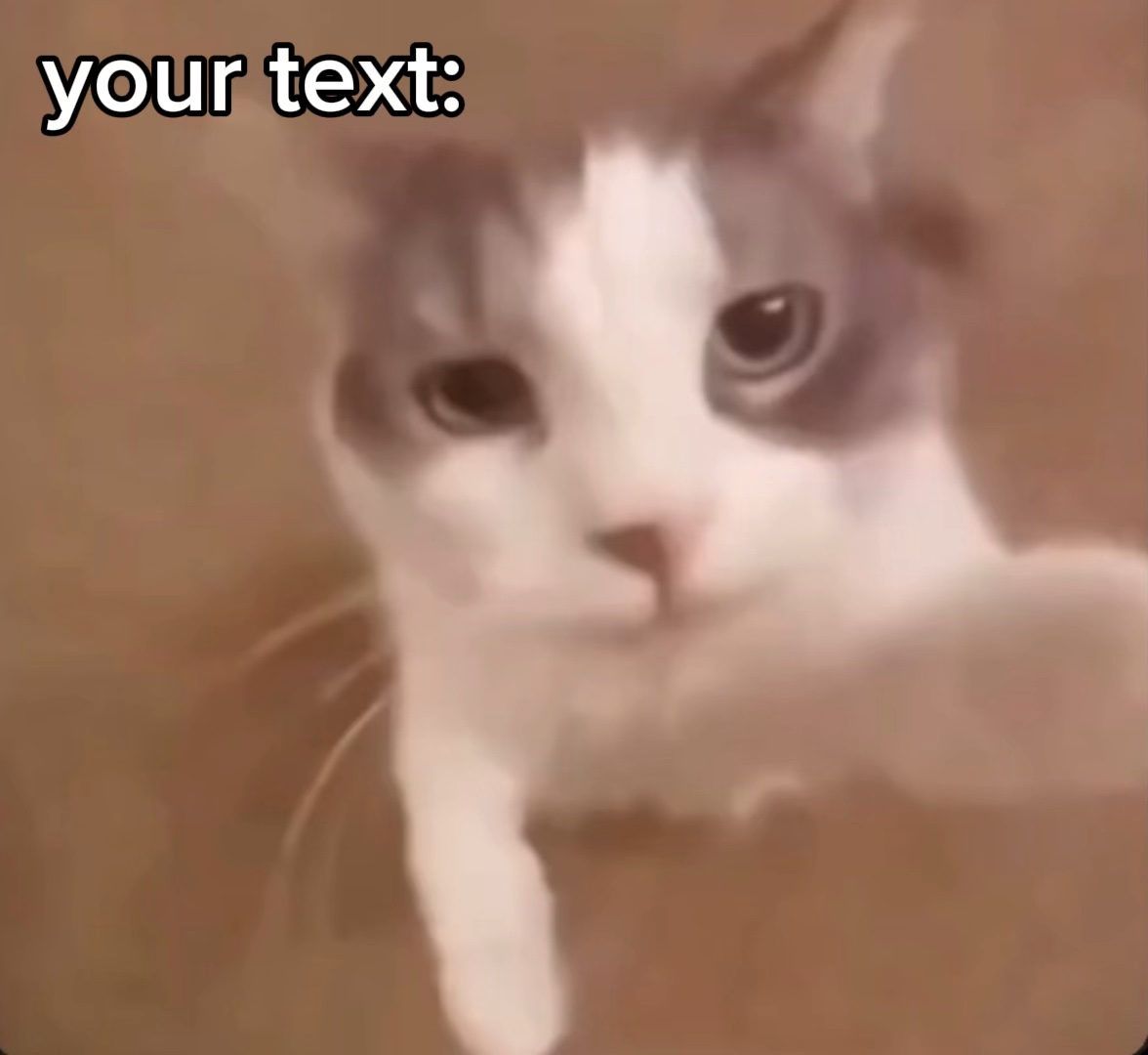 Beijo de gato