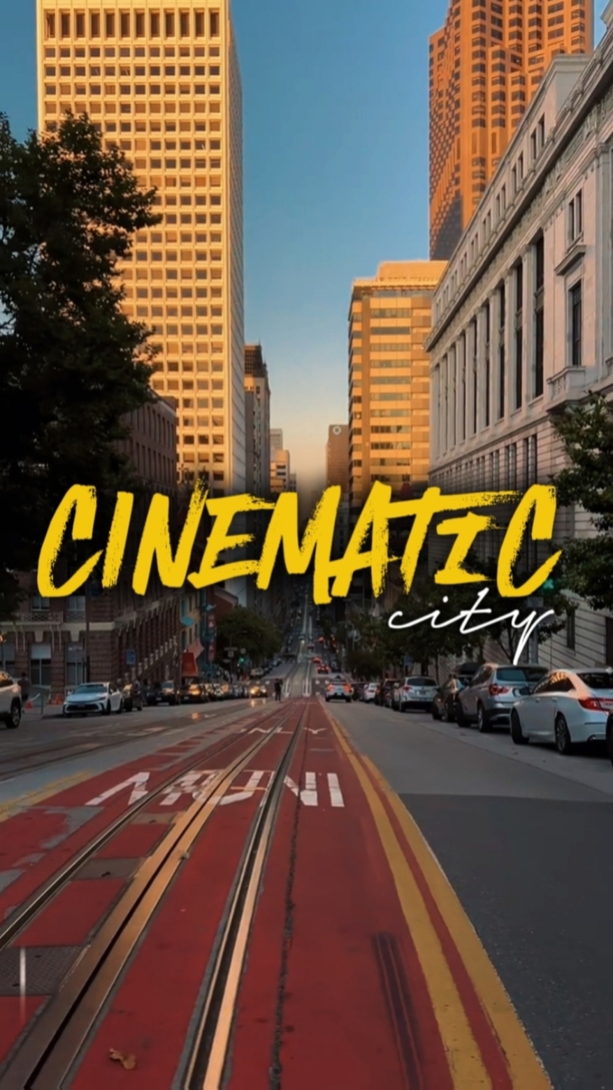 CINEMATIC CITY