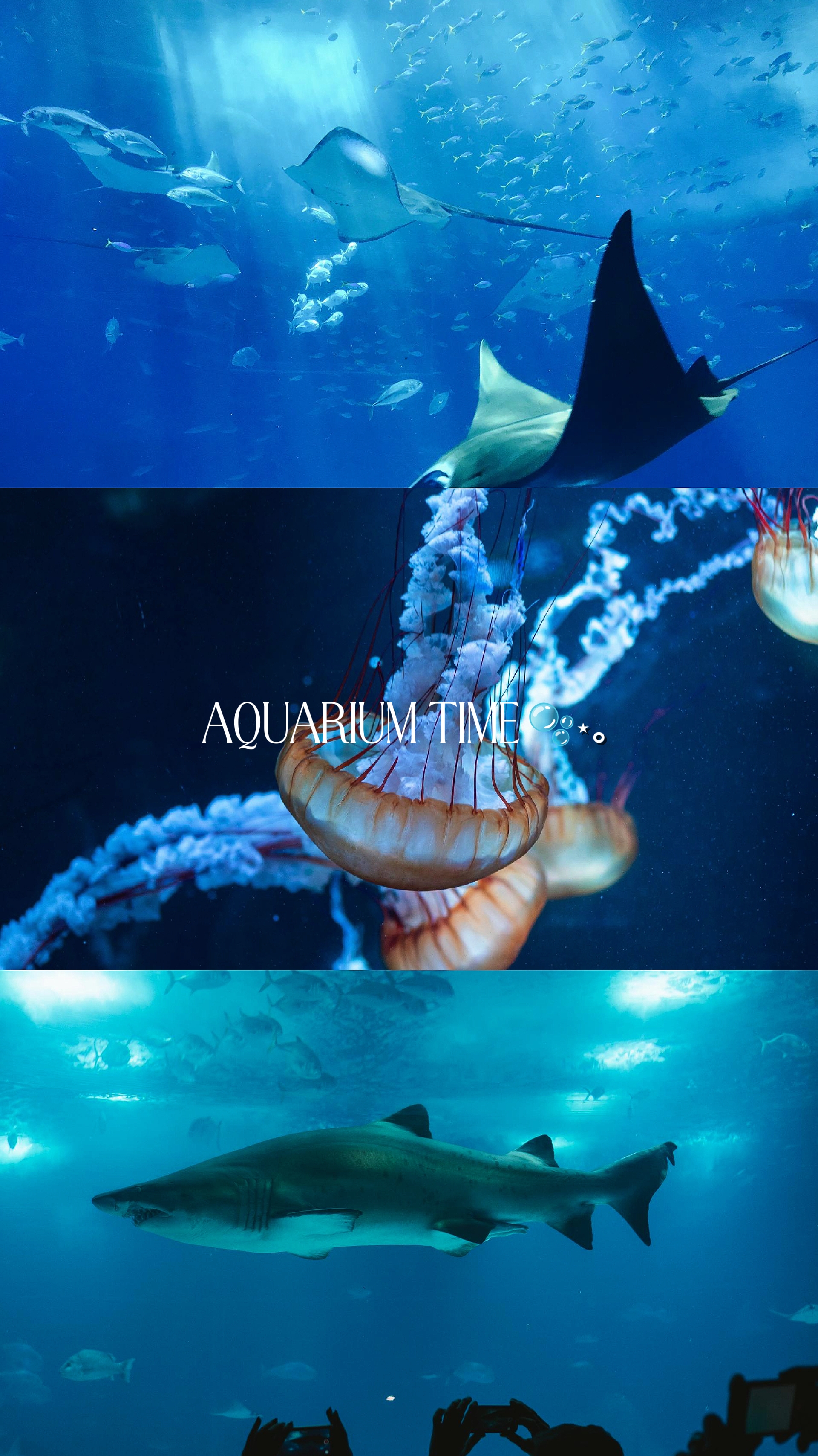Aquarium Zeit