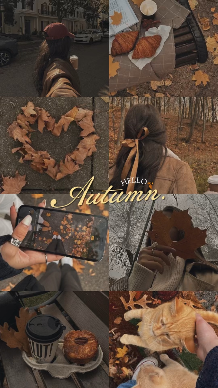 Hello Autumn 🍂
