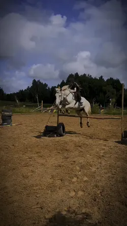 ⚠️TW⚠️flash - edit