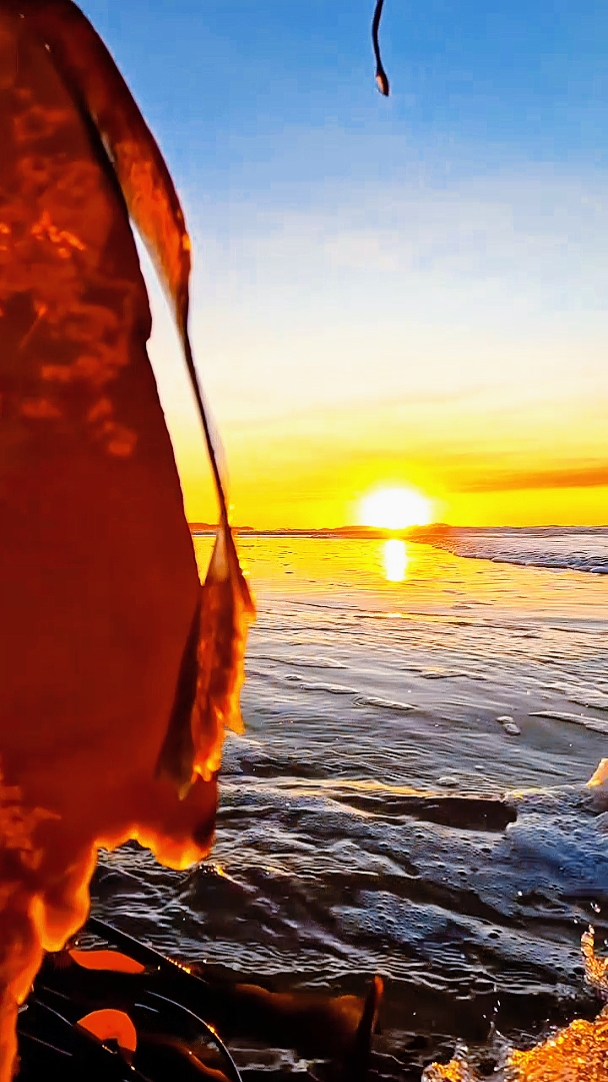 4 Videos | SlowMo 