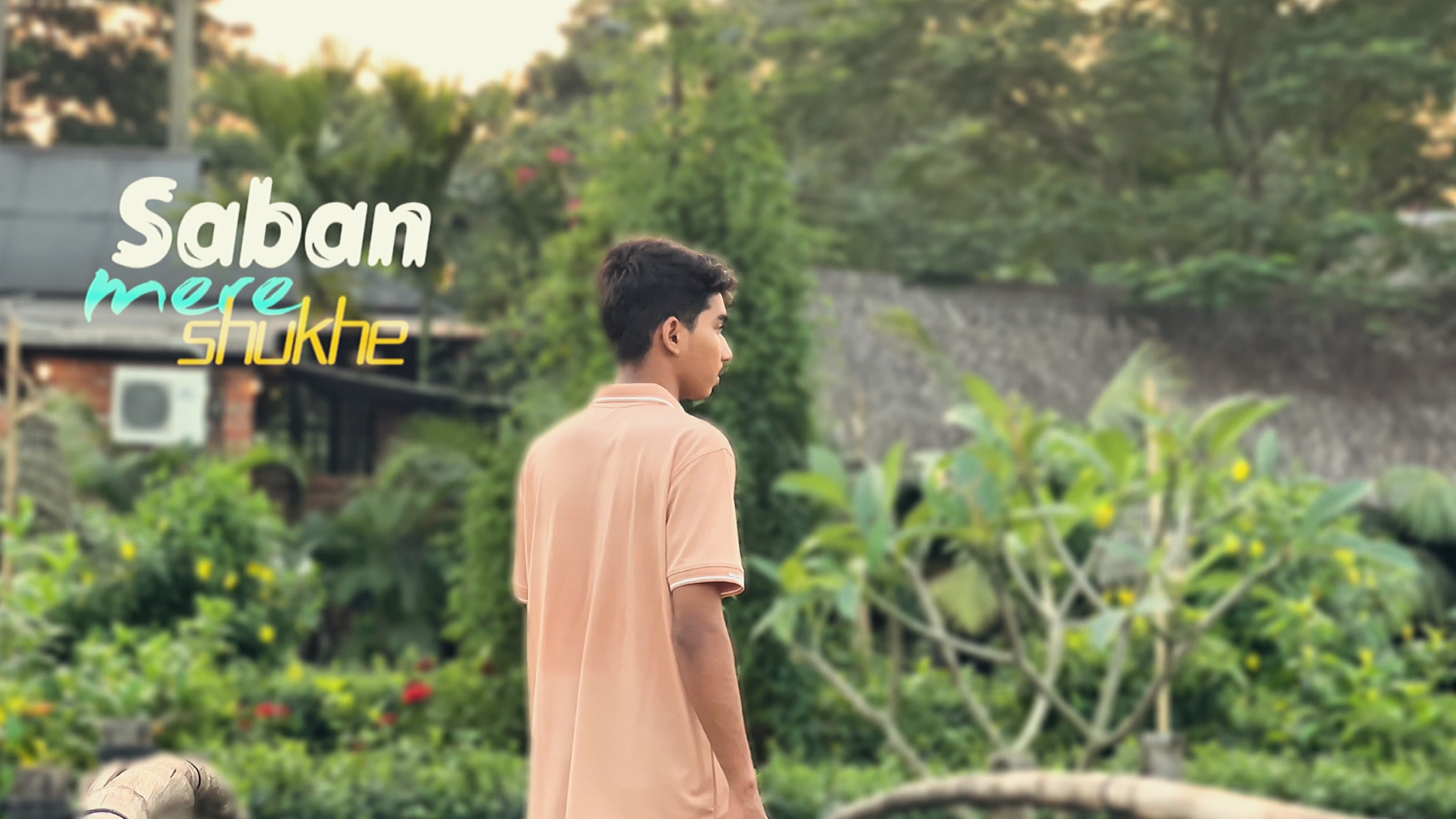 Video cinematográfico 