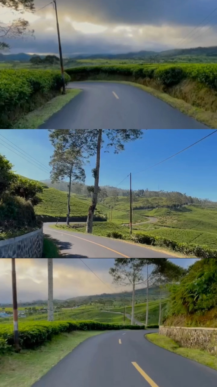 Layout 3 vídeos