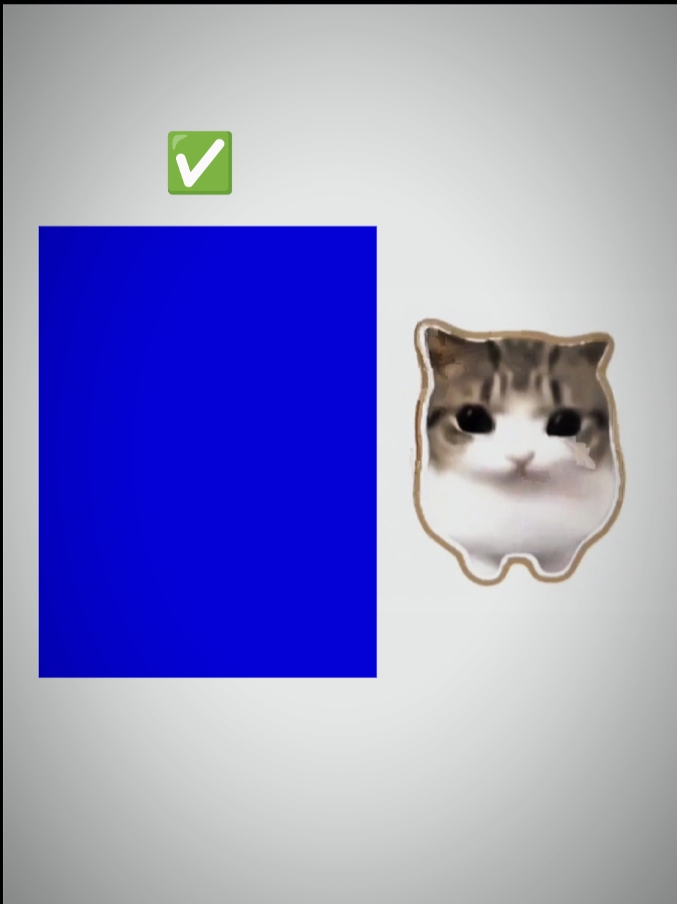 KEDİ TRENDİ