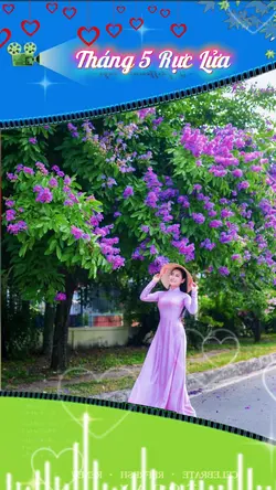 MÙA HOA BẰNG LĂNG