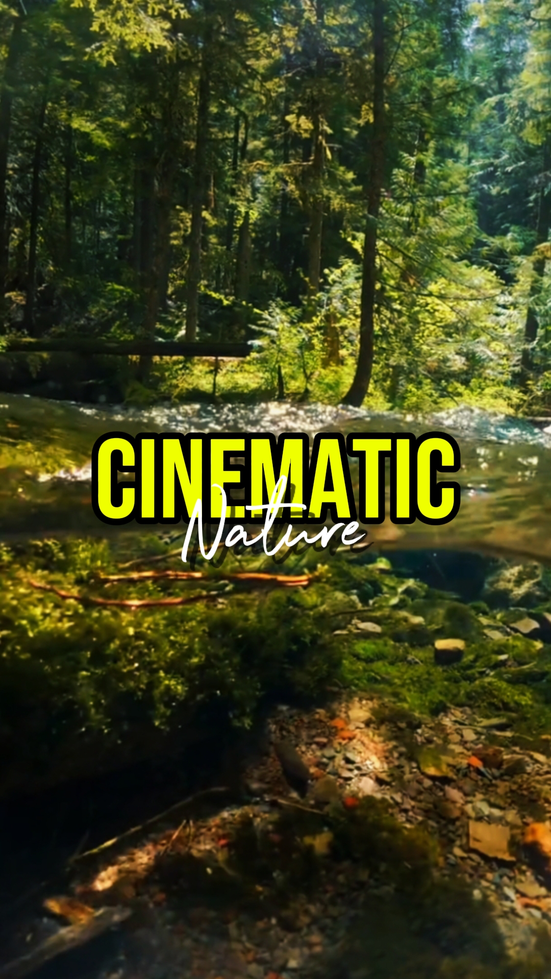 NATURE CINEMATIC