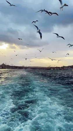 Slow And Fast Motion