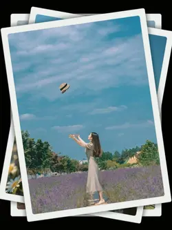 15PicClip Transition