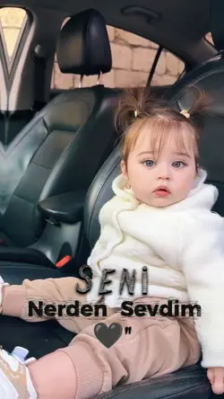 Seni Nerden Sevdim