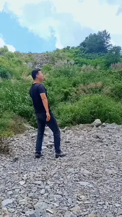 tik tok