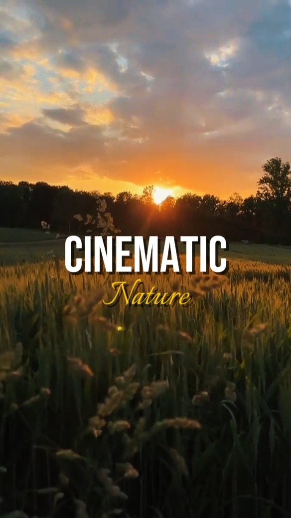nature cinématographique