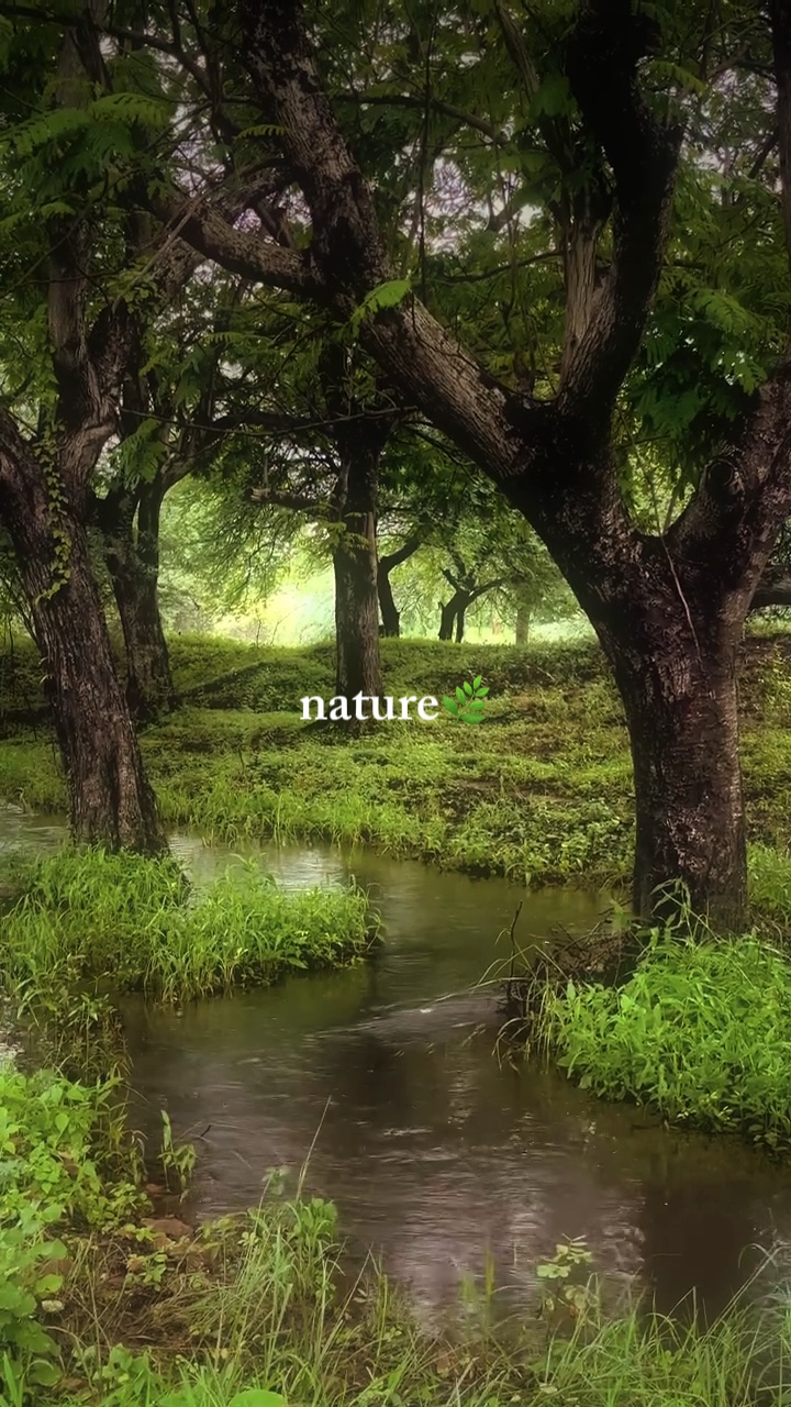 Naturaleza🌿