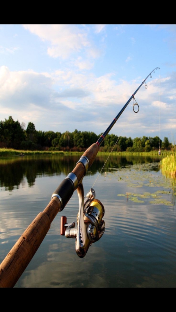 Go Fishing