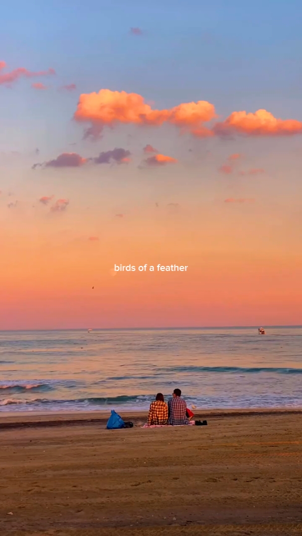 birds of a feather