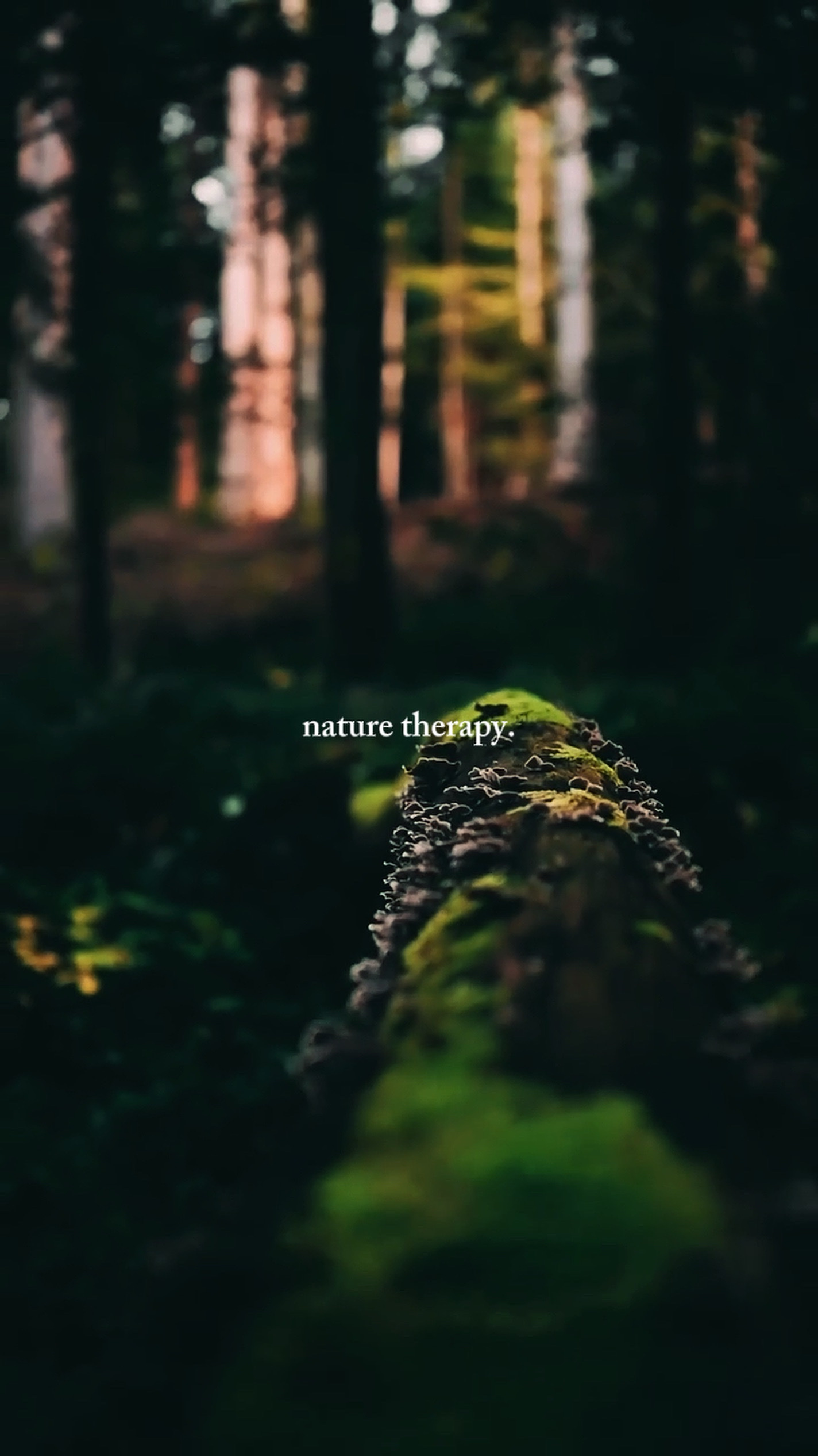Terapia da natureza
