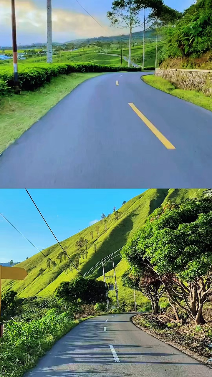 2 colagem de vídeo