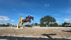 ms girl ⚠️FAKE⚠️