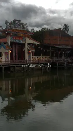 ดอกไม้จะบานอีกครั้ง