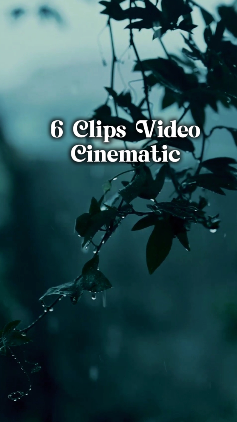 6 clipes de vídeo