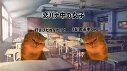 男子と女子の違い