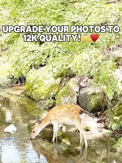 #12kquality