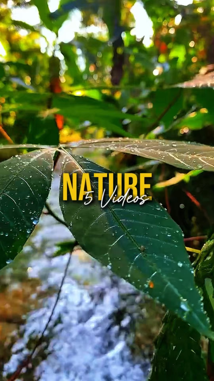 Nature 5 Videos
