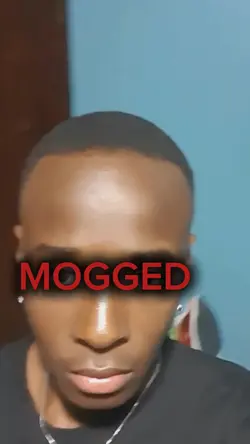 Mogged