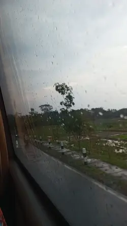 sedia aku