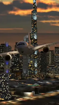 Airplane & Eagle 