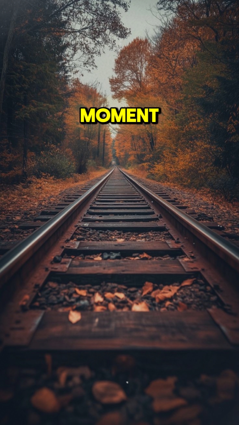 Momento Perfecto