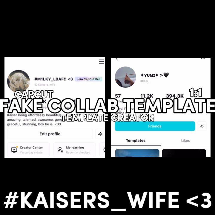 Fake collab !!