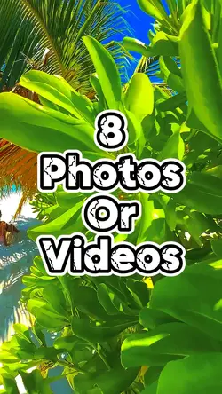 8 slideshow