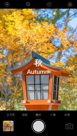 秋/ autumn 🍂 