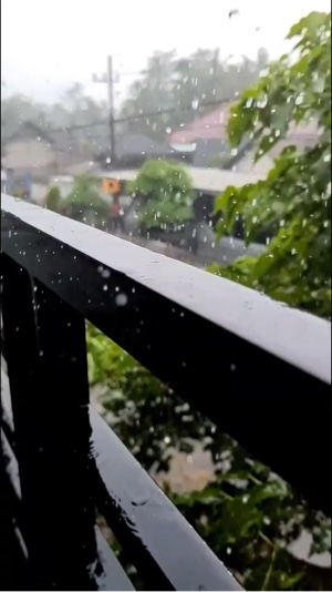 Arti sebuah payung