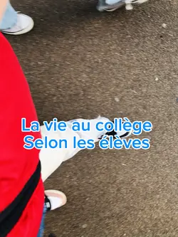 LA VIE AU COLLEGE