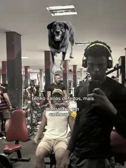 ORELHA.....
