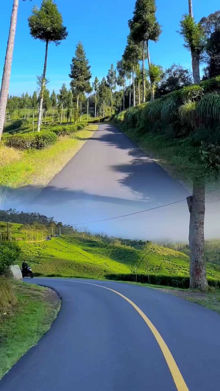 2 video road trip