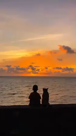 ไลฟ์โฟโต้