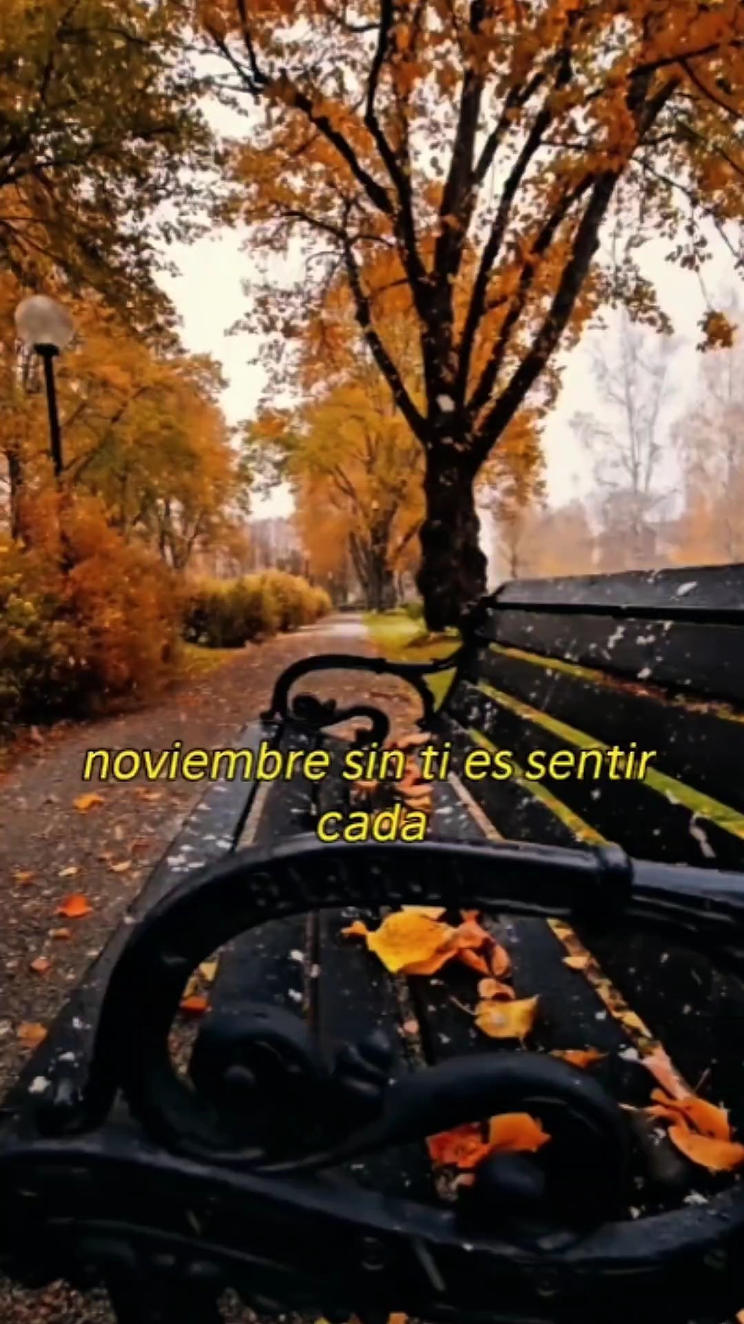 Noviembre sin ti 