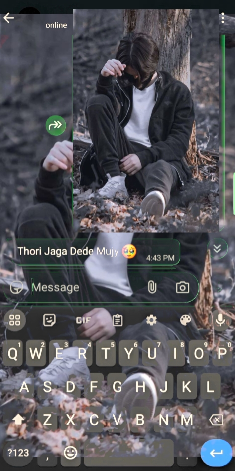 Cover Picture